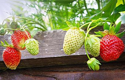 E3 2021：《暗黑破坏神2：重制版》最新预告9月23日发售